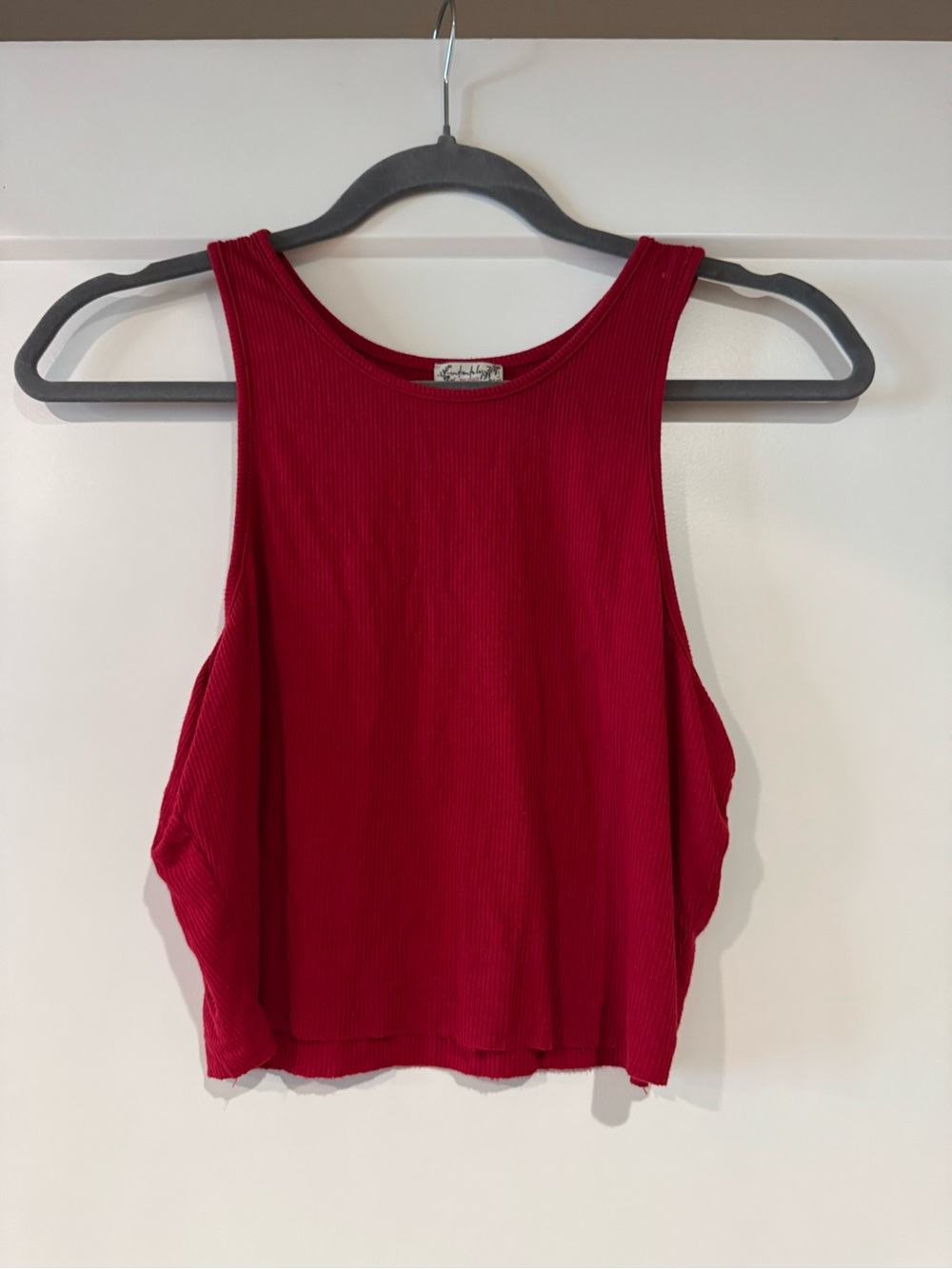 Free People Red High Neck Ribbed Crop Top
